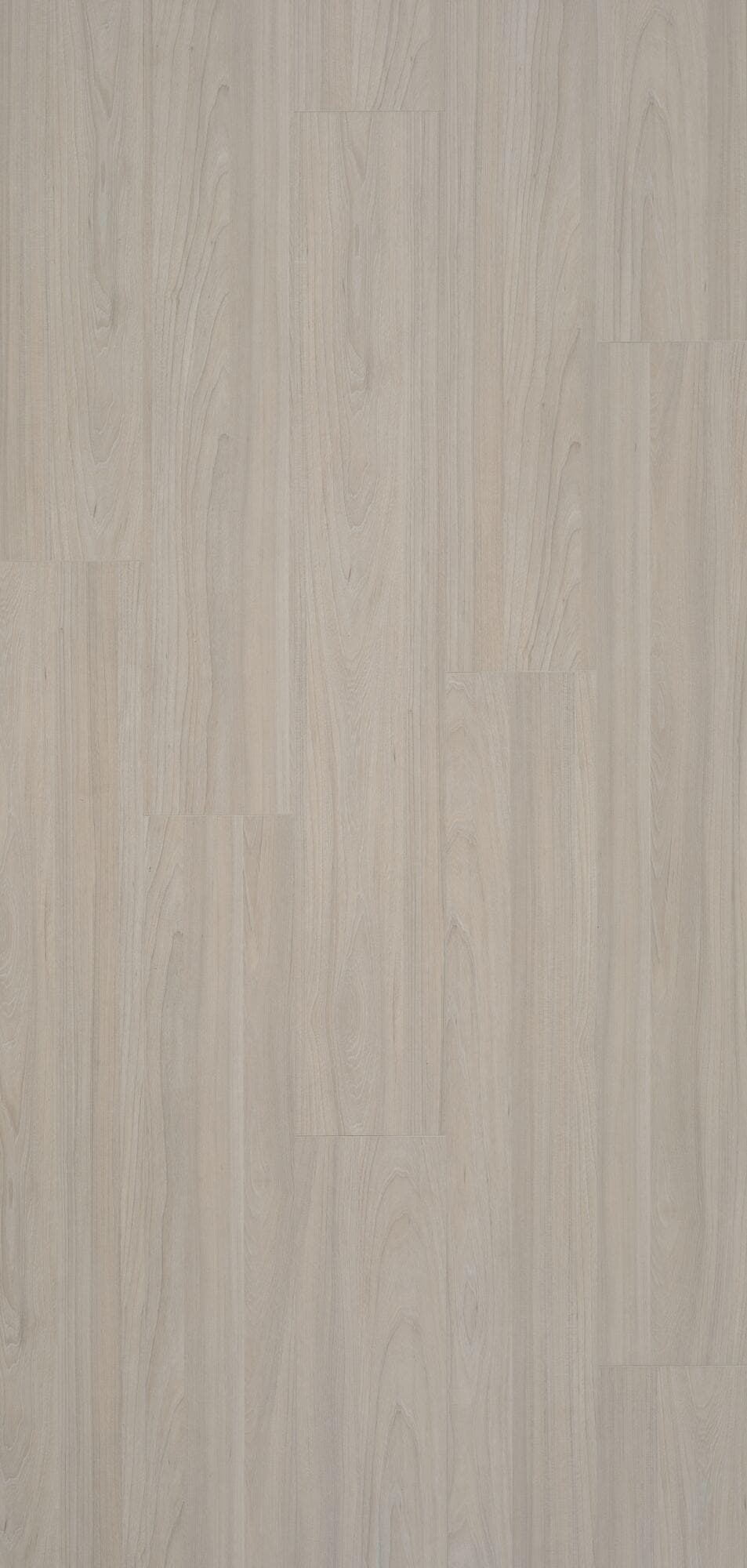 BERRYALLOC 62002472 香檳榆木