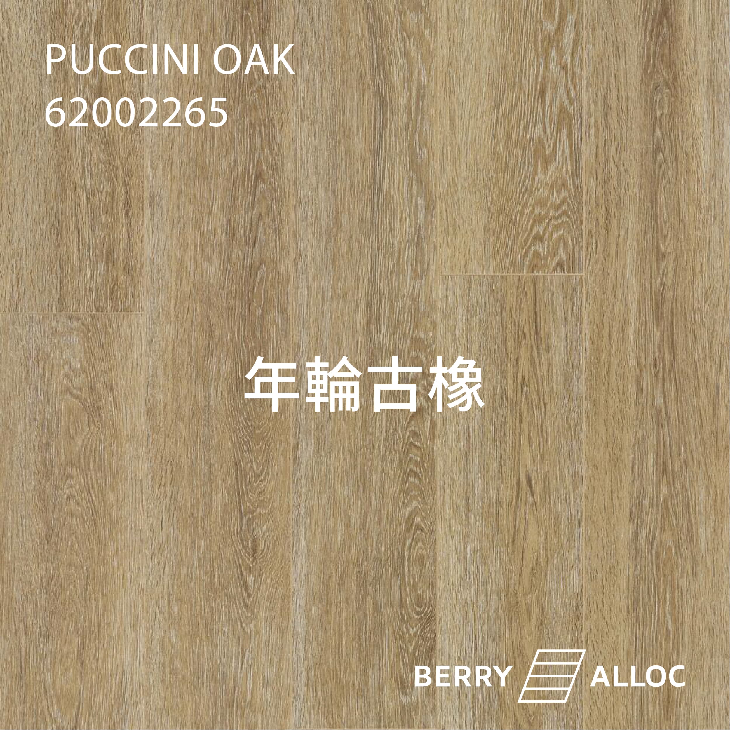 BERRYALLOC 62002265 年輪古橡