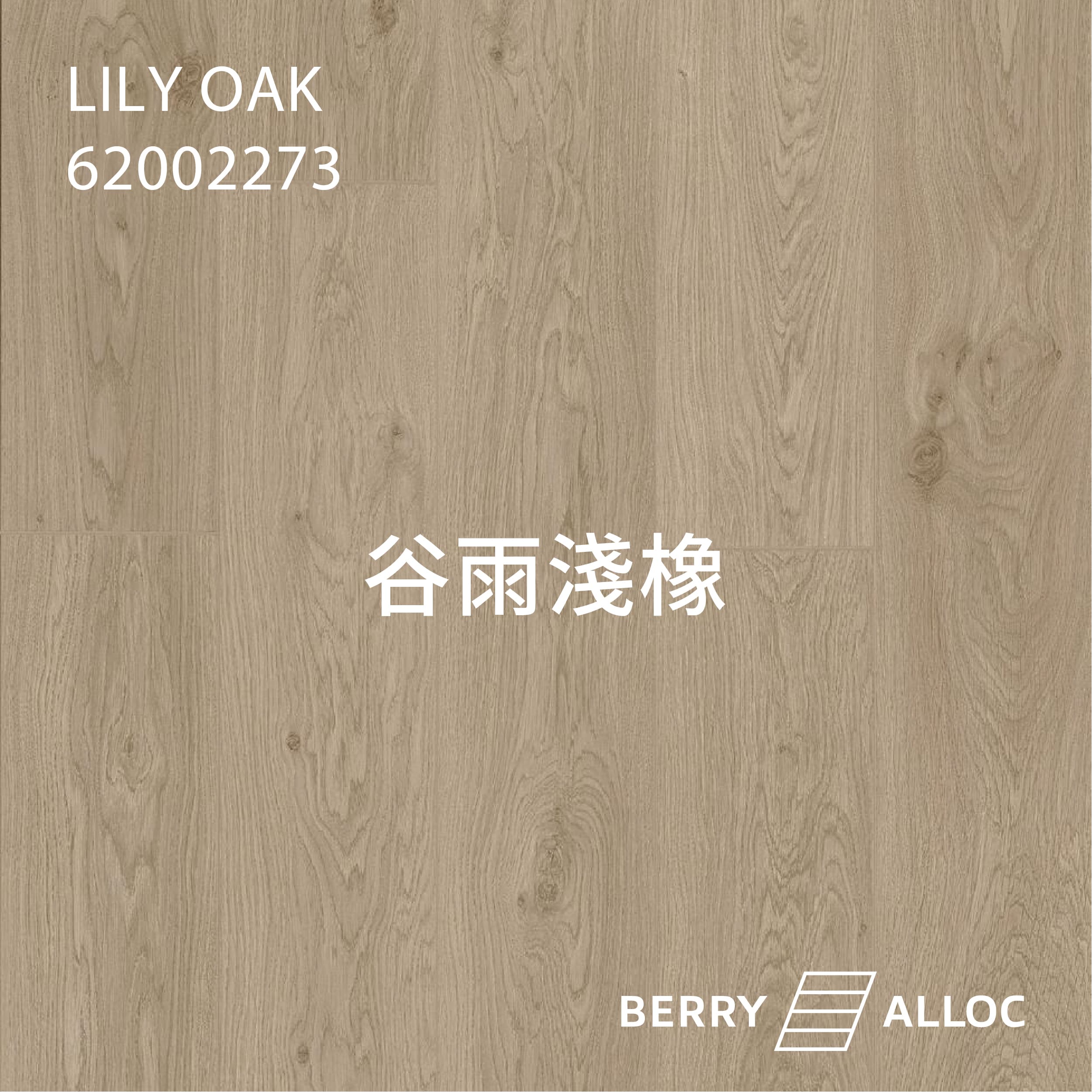 BERRYALLOC 62002273 谷雨淺橡