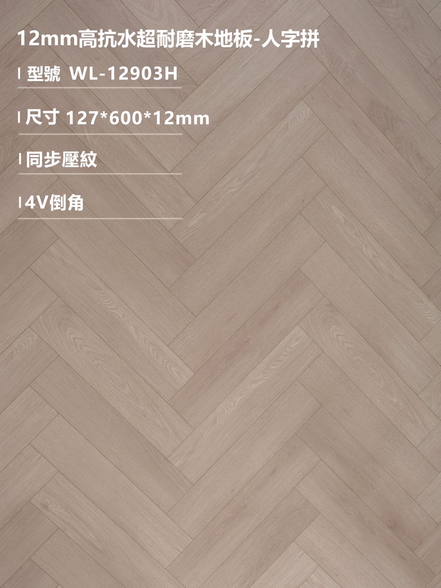 G&D固得樂 WL-12903H
